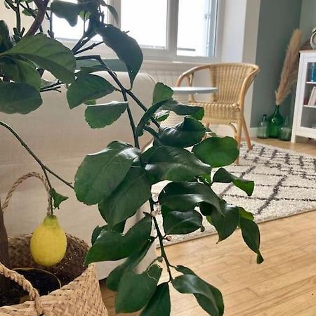 شقة Le Citronnier فوسنان المظهر الخارجي الصورة
