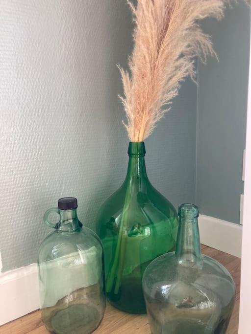 شقة Le Citronnier فوسنان المظهر الخارجي الصورة